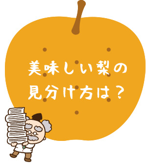 美味しい梨の見分け方は？